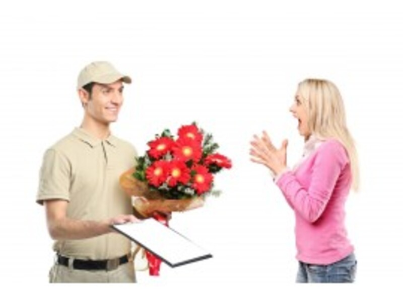 flowers / dazzling flowers