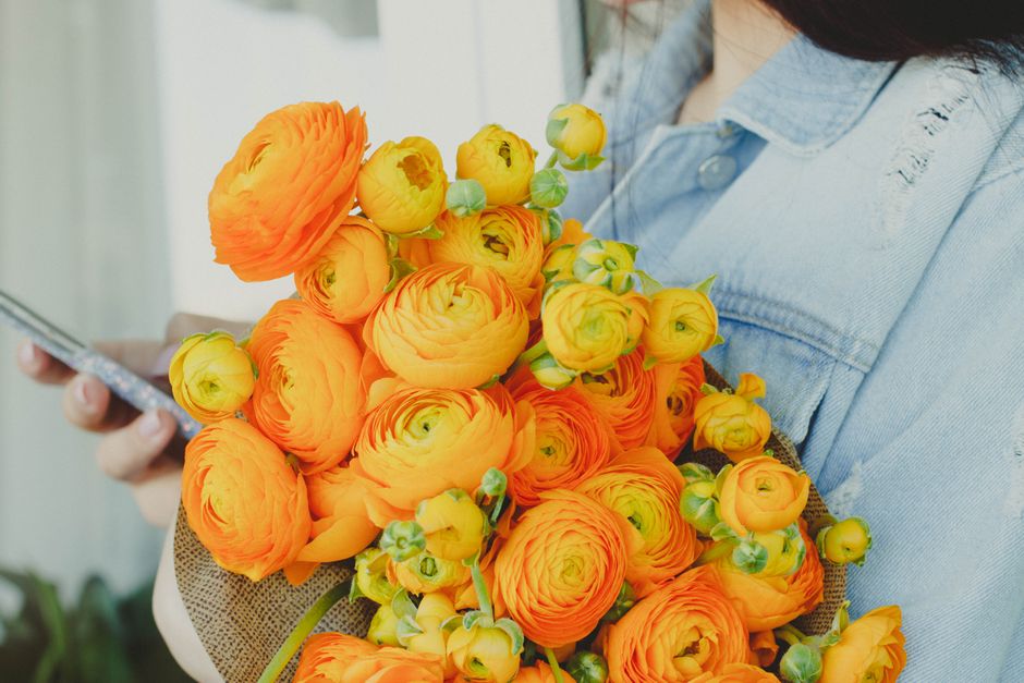 Close-up of a person holding a vibrant bouquet of orange and yellow ranunculus flowers, wrapped in brown paper. The flowers are fresh, with tightly formed petals and green buds, arranged in a dense cl