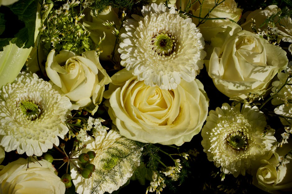 A close-up view of a floral bouquet arrangement featuring creamy white roses with softly curled petals, surrounded by white gerbera daisies with layered petals and central green discs, complemented by